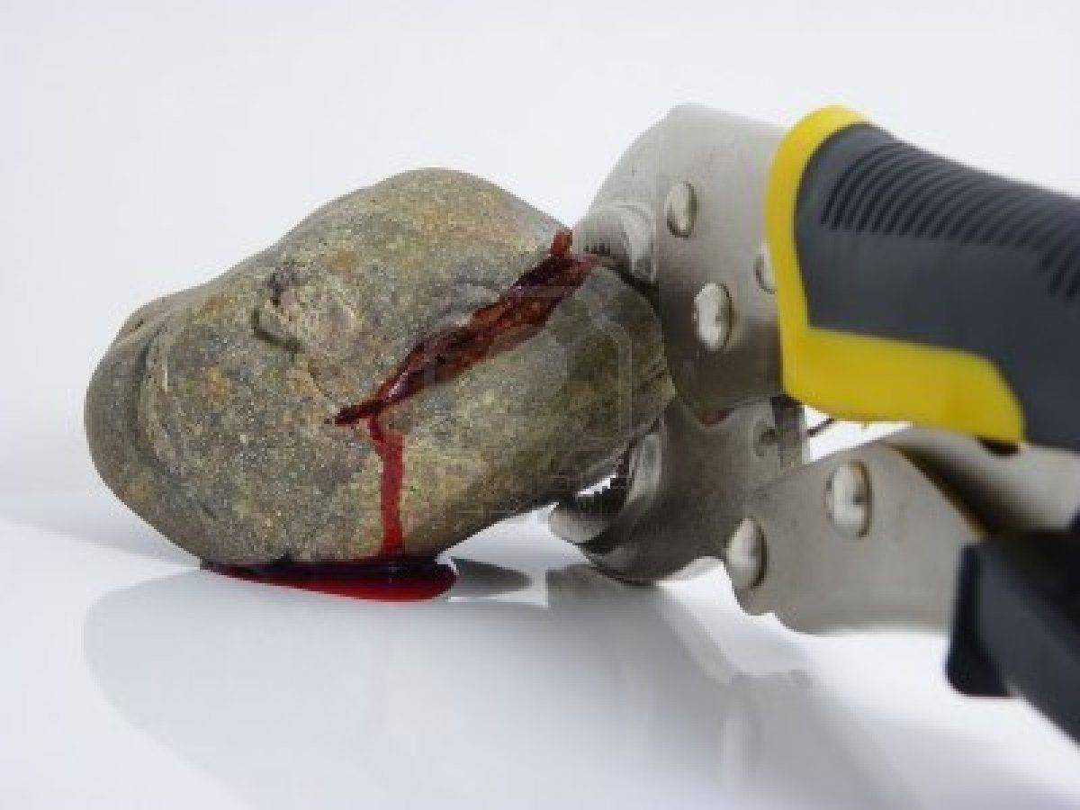 7823878-macro-photo-of-pliers-squeezing-blood-from-a-stone