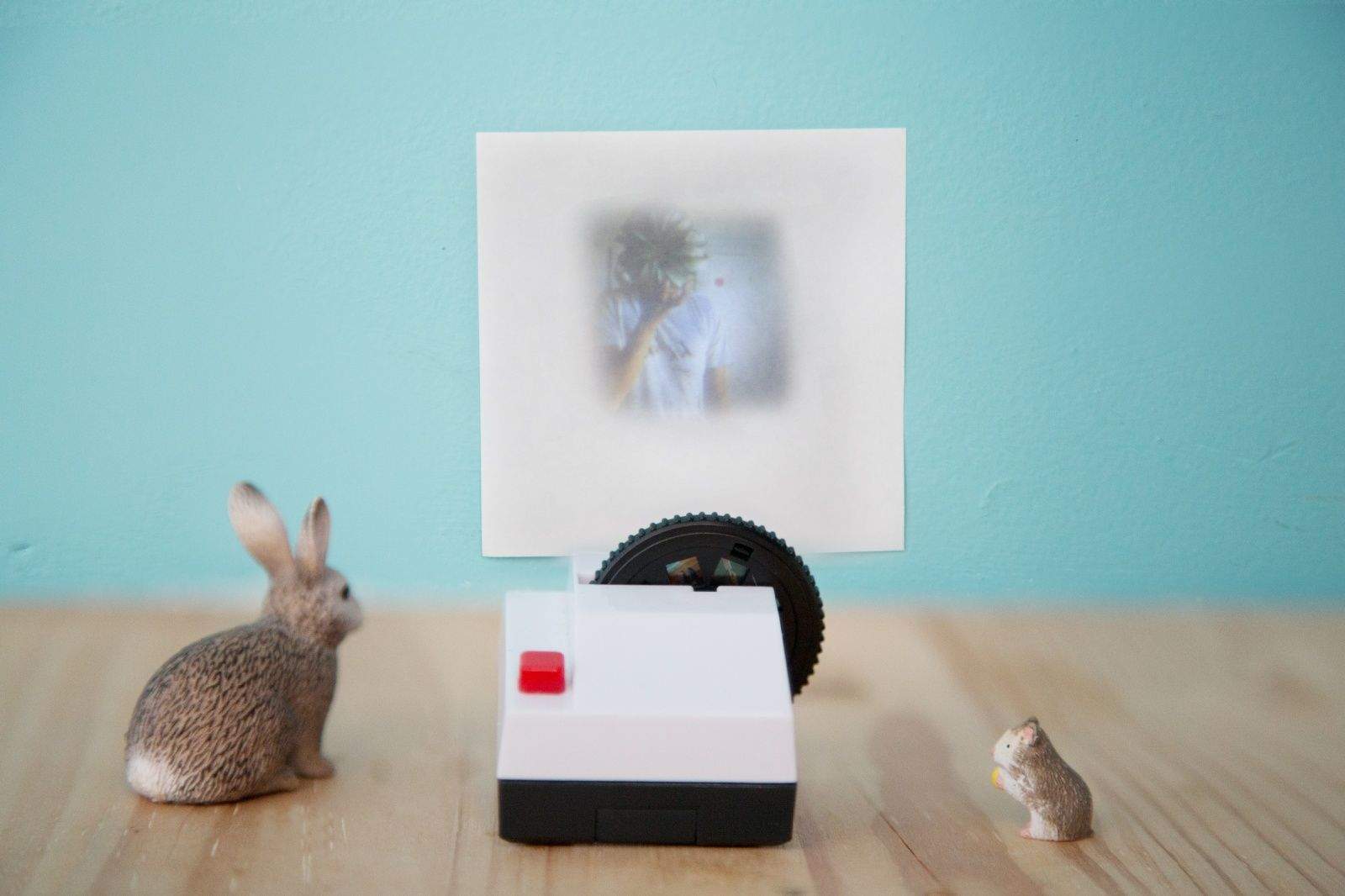 projecteo-instagram-projector-5b9e.0000001386217843