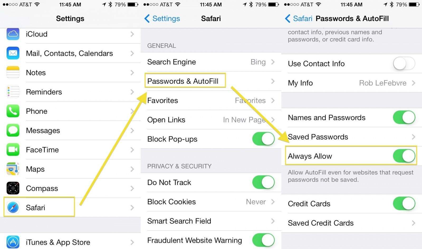 Safari Passwords