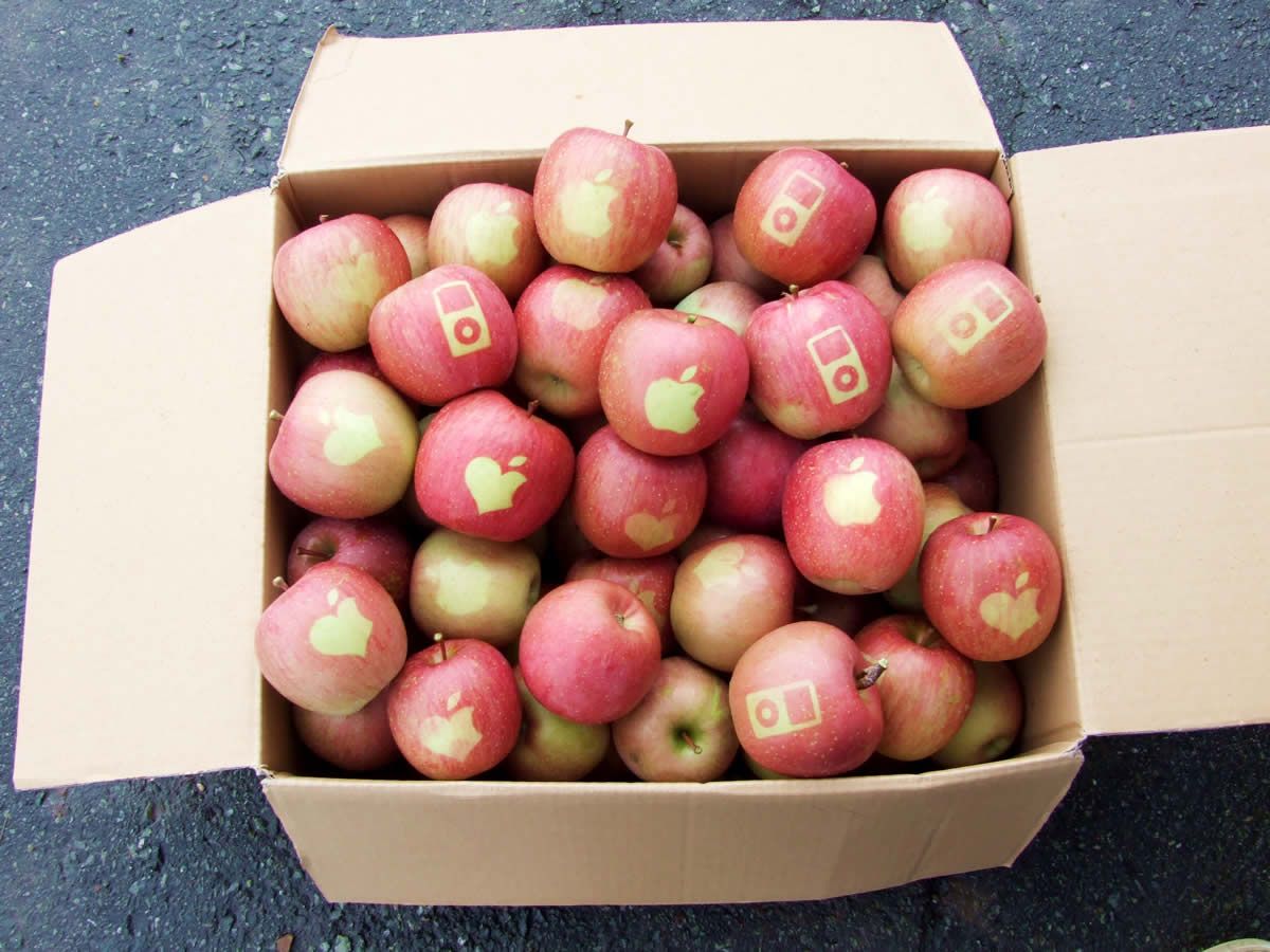 appleonapple_09