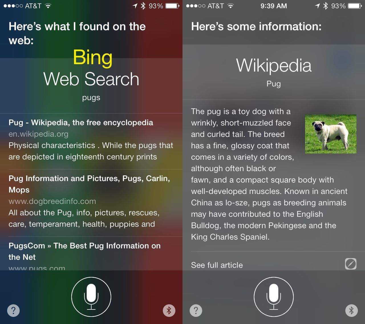 bing wikipedia