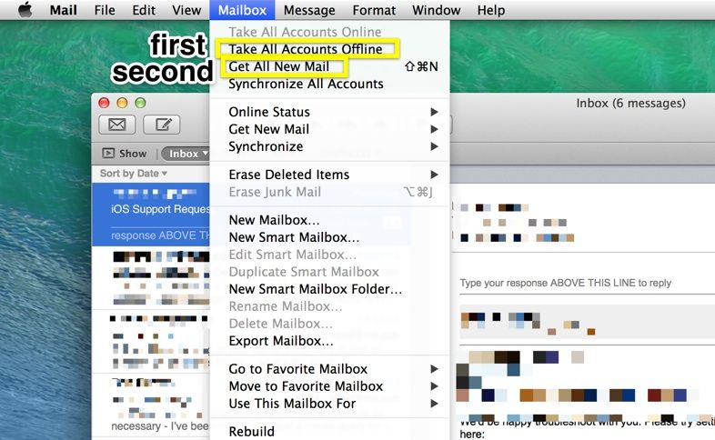 mail bug