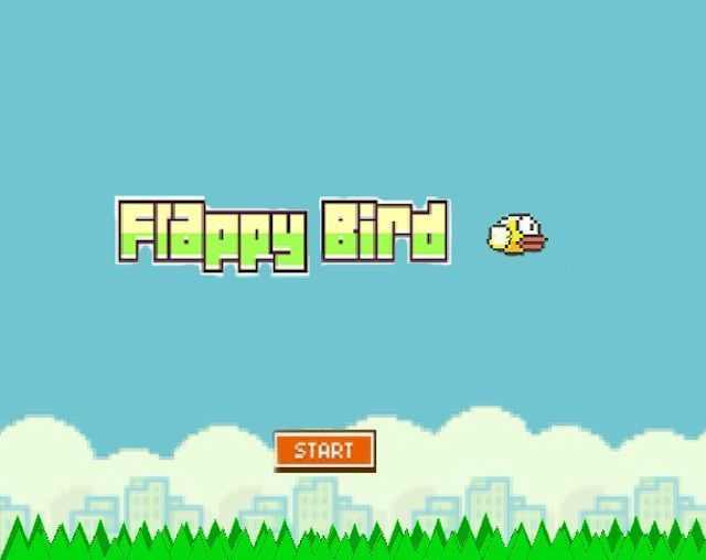 Flapping for success.