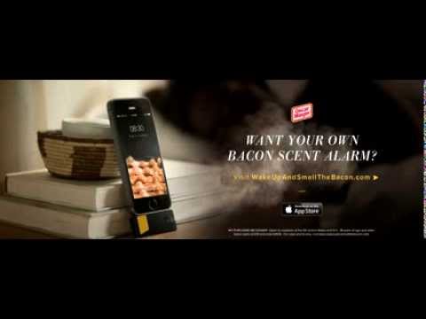 post-268875-image-c40db177f834232397b44bed8901e5fb-jpg