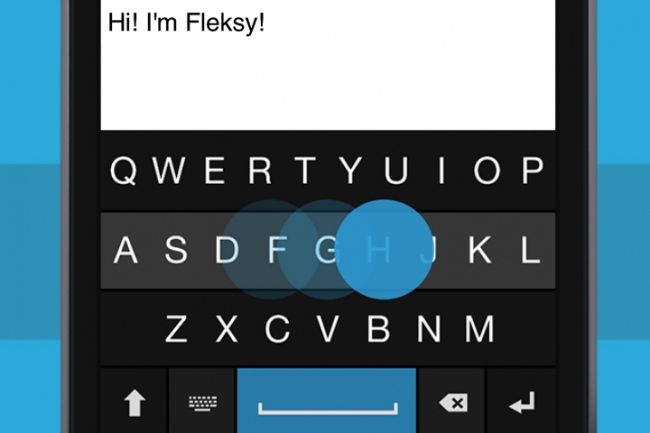 fleksy