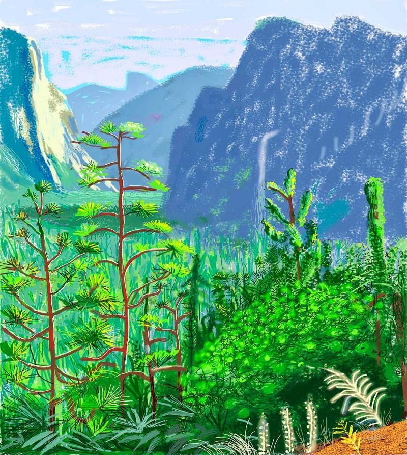 David Hockney, Yosemite I, © 2013 David Hockney, used with permission de Young Museum.