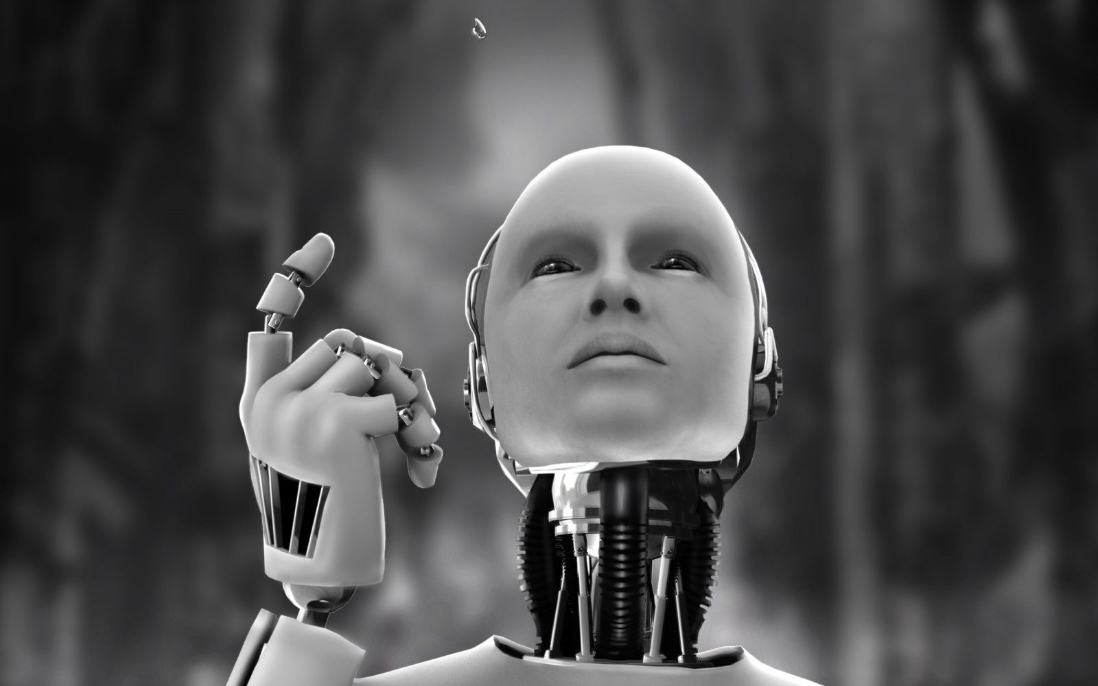Irobot