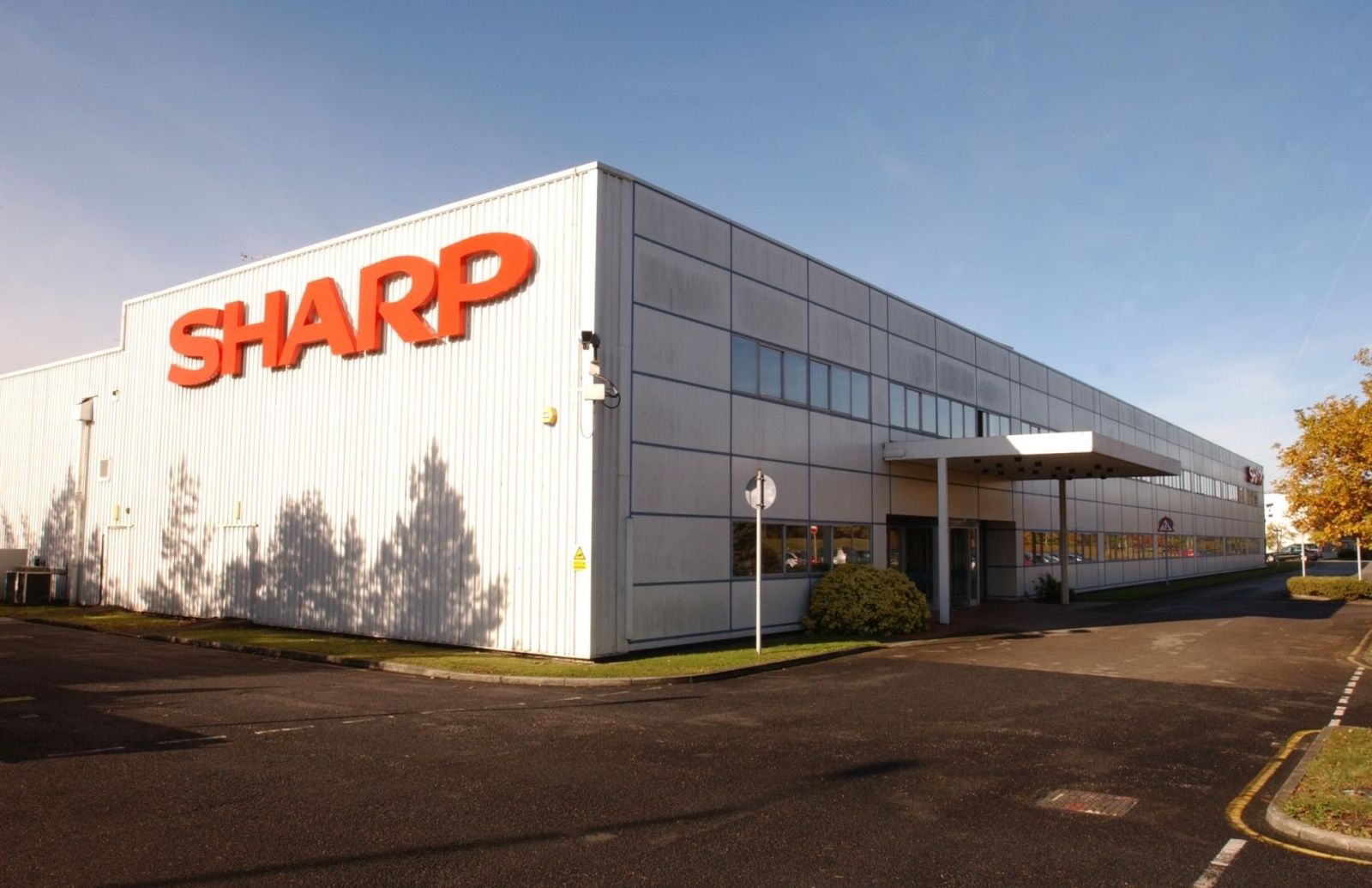 temp_file_sharp_plant_wrexham2
