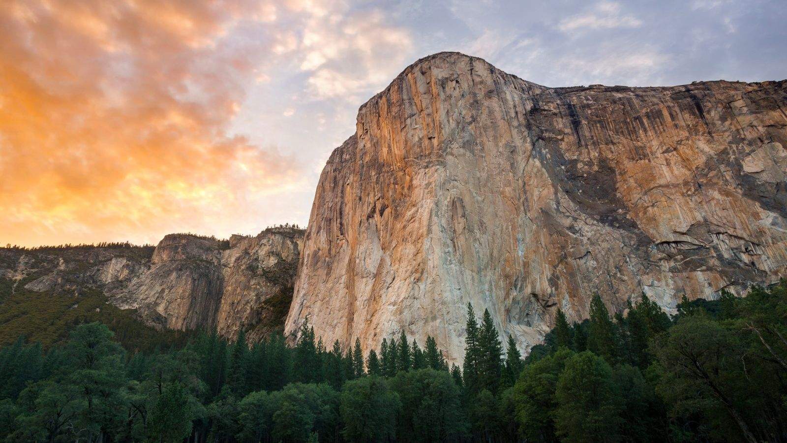 Apple's so powerful it can even affect tourism.