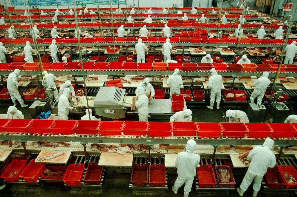 china-apple-factory-benzene-poison