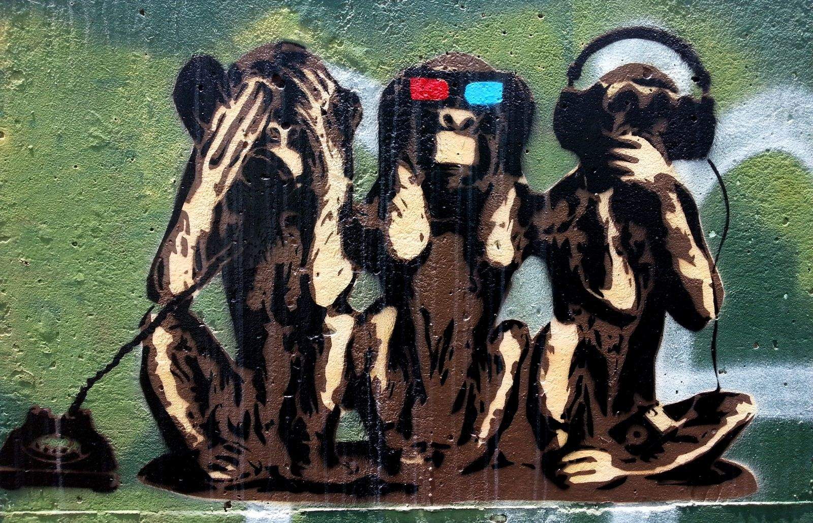 Photo: