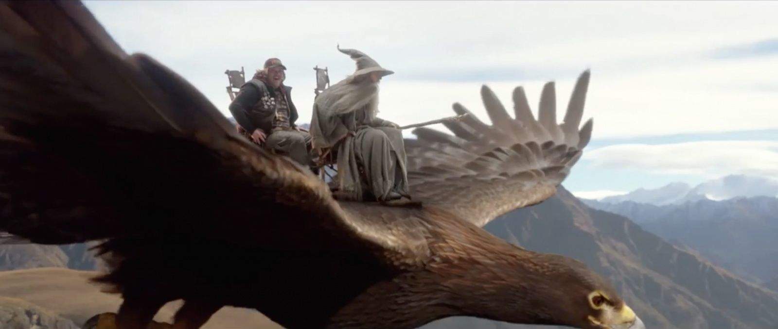 Maybe they'll take the bird all the way to the destination, for a change. Photo: Air New Zealand