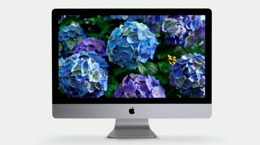 retinaimac