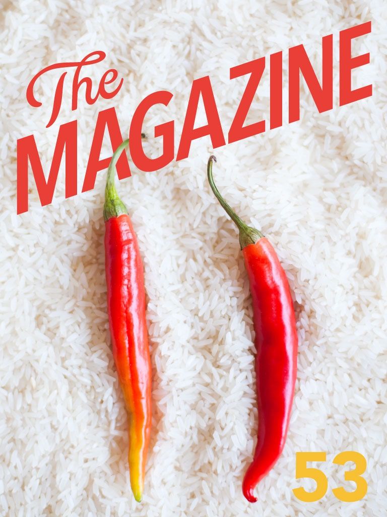 When the best iPad magazine goes under, you know something's wrong. Photo: The Magazine