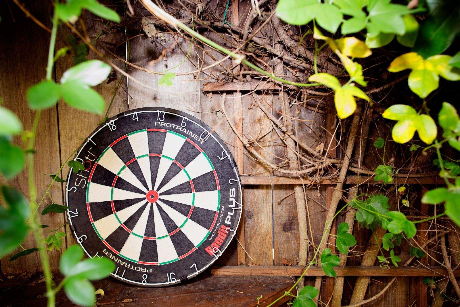 If you play darts, you know it's all about the doubles and triples. Landing your pointy projectile in those choice slivers of bristle board real estate make all the difference when you are playing to win.


The Bandit Plus ProTrainer ($65 from A-ZDarts.com) can help. On this fiendish and well-constructed training tool, the double and treble beds are just half the size of a regulation steel-tip dartboard. Practicing with this demanding mistress is the darting equivalent of running in ankle weights or sliding a doughnut on your bat while taking a few cuts in the on-deck circle. Spend some quality time with the ProTrainer at home, and those precious moneymaker slots will look gigantic when you step up to the oche during your next pub match. &mdash; Lewis Wallace


Photo: Jim Merithew/Cult of Mac