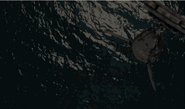 jurassicworld