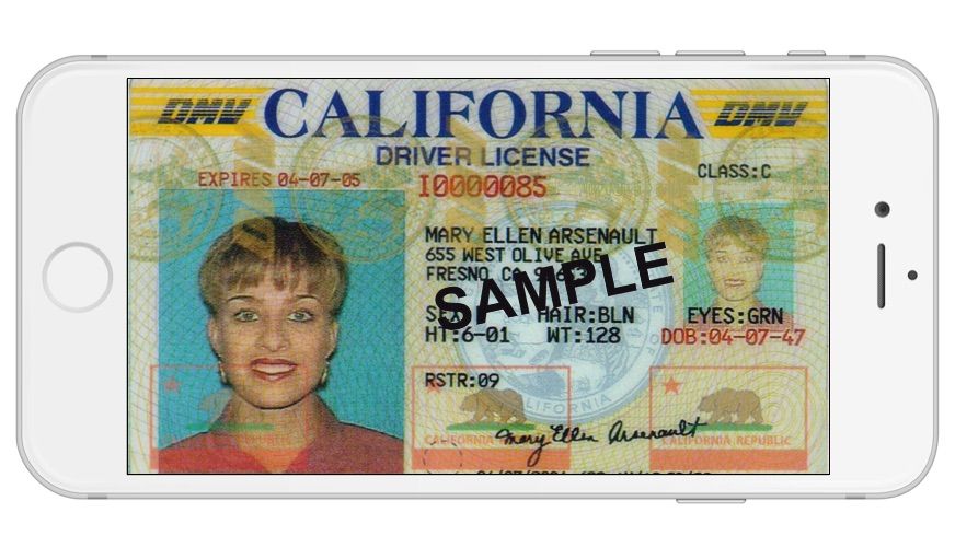 driver-ID-iPhone