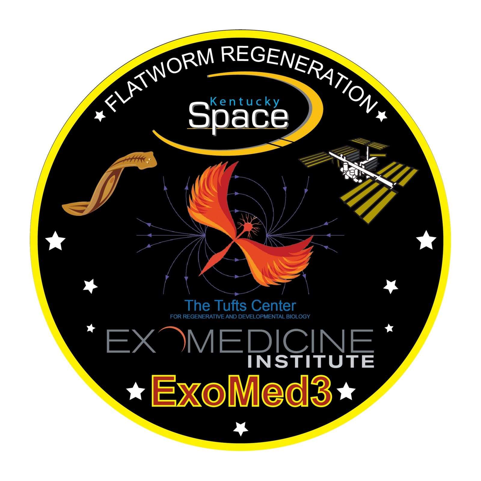 Flatworms are headed to the International Space Station and their sacrifice in the name of research gets a salute on the Kentucky Space mission patch.