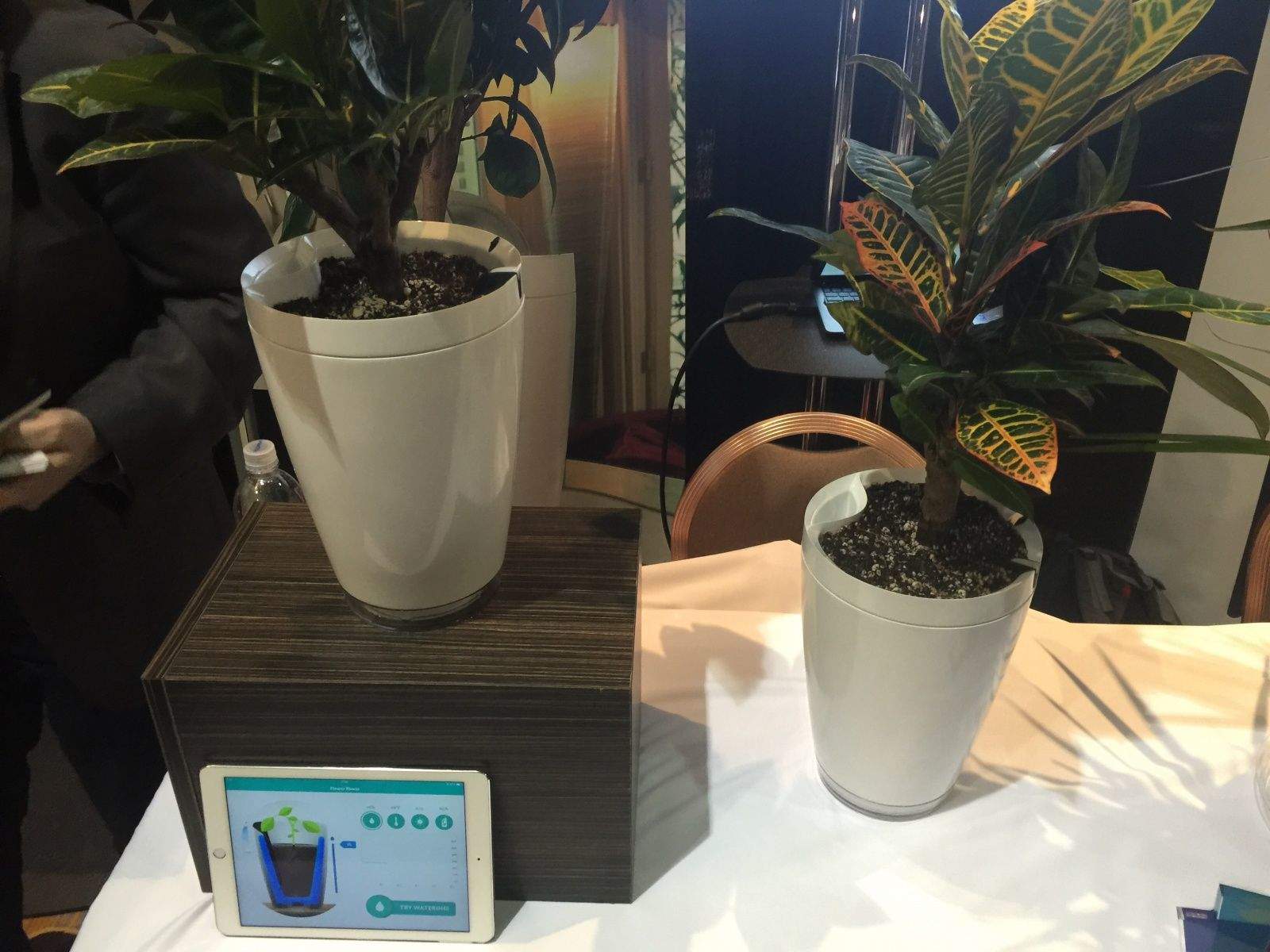 Parrot Pot. Photo: Buster Hein/Cult of Mac