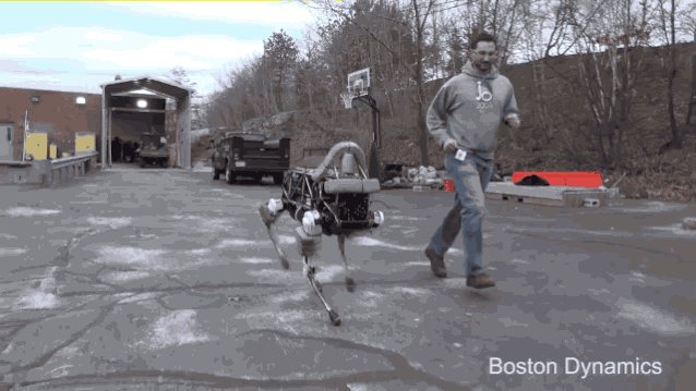 running-dog-1