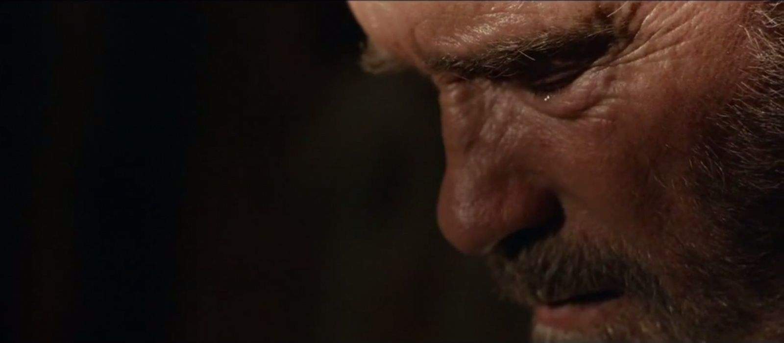 Real men cry, especially when they may have to kill their zombie daughters. Photo: Lionsgate Films
