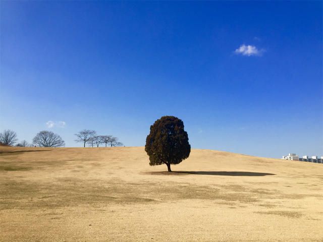 Taken by Hyeong Jun K. in Seoul, South Korea.