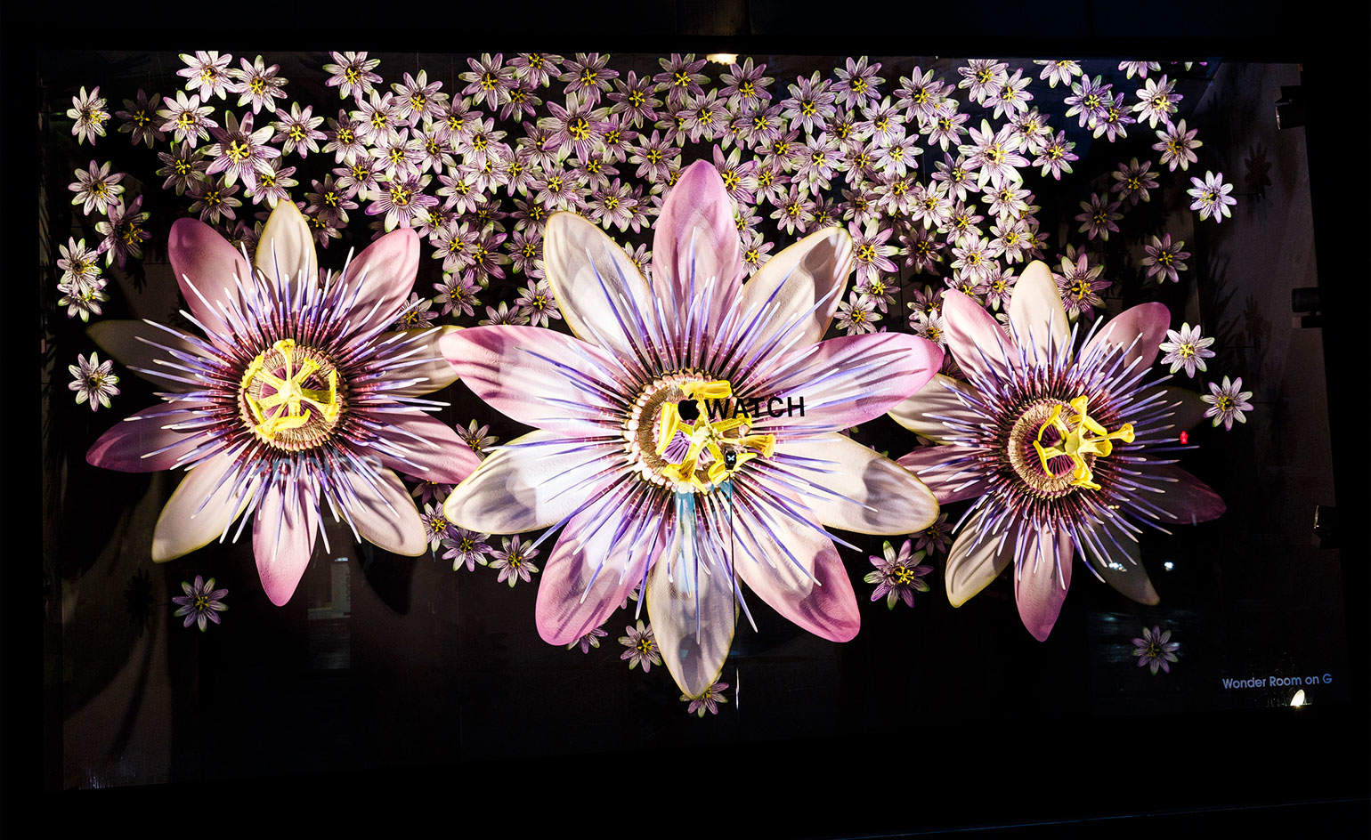 Apple tookover Selfridges' 24 displays.
