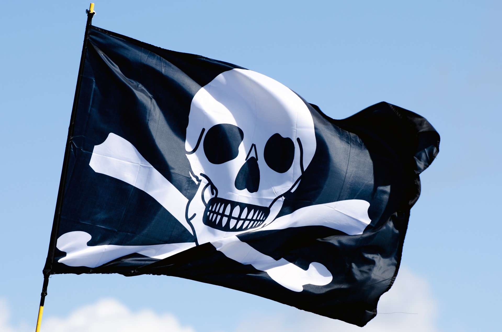 Pirate Flag
