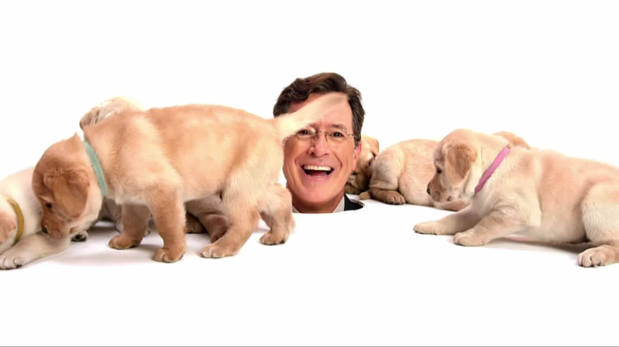 Stephen Colbert Tim Cook