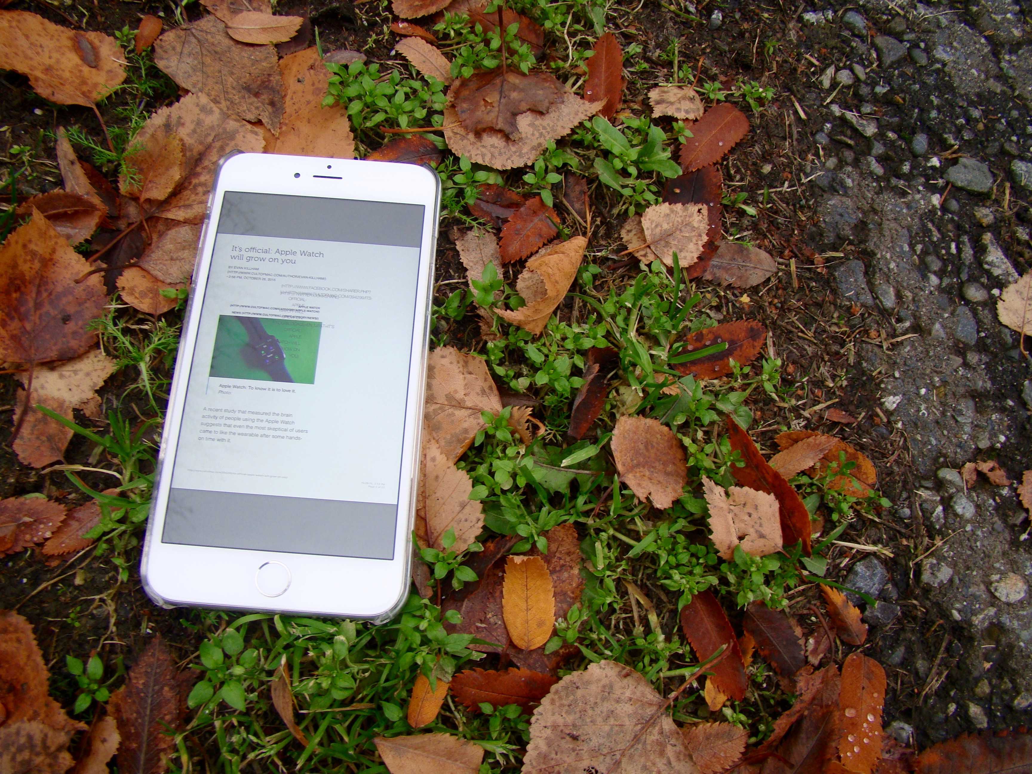 Send any web page as a PDF to iBooks in iOS 9.