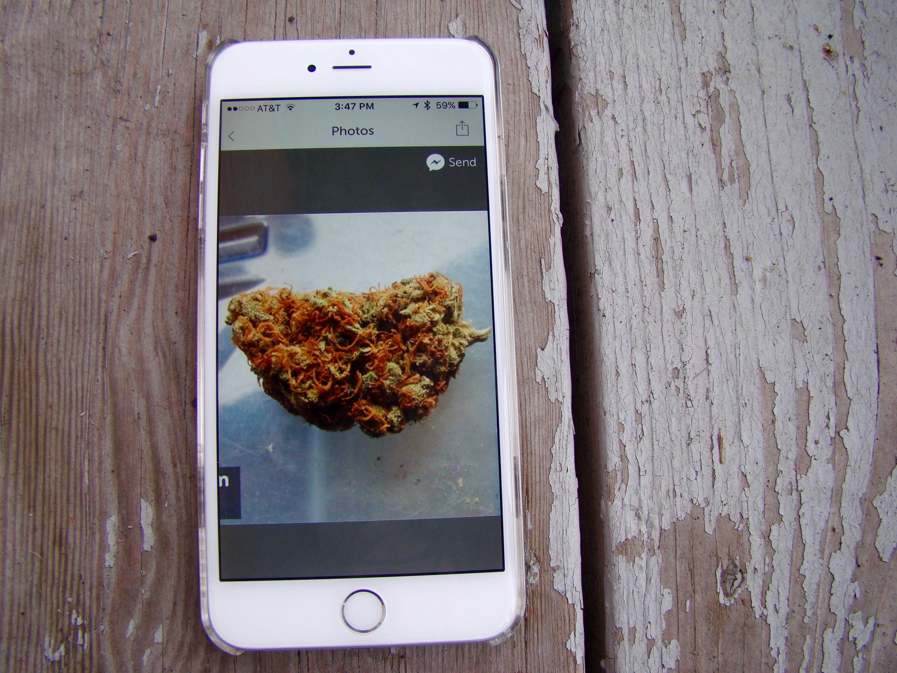 Now that marijuana is  legal in many spots around the U.S., pot apps abound.