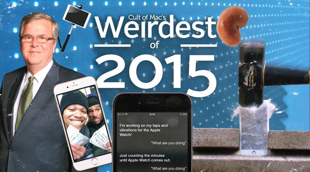Apple fanatics got up to some strange stuff in 2015.