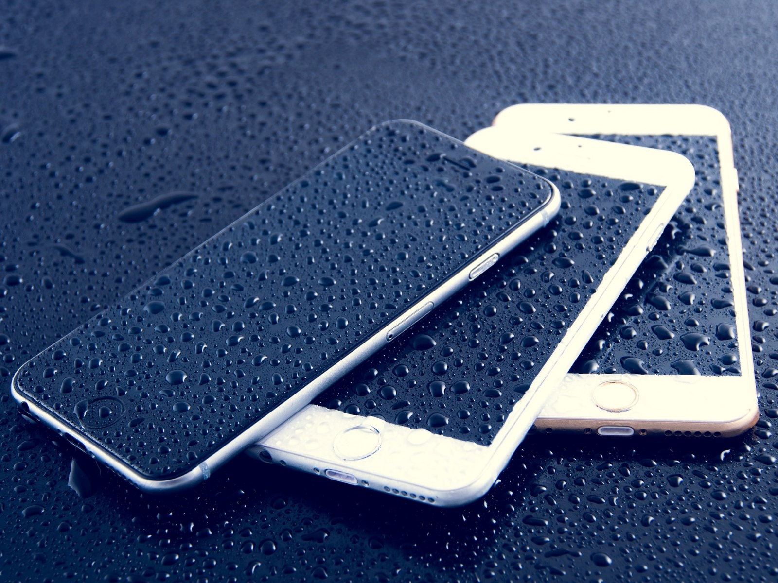 Apple FBI encryption