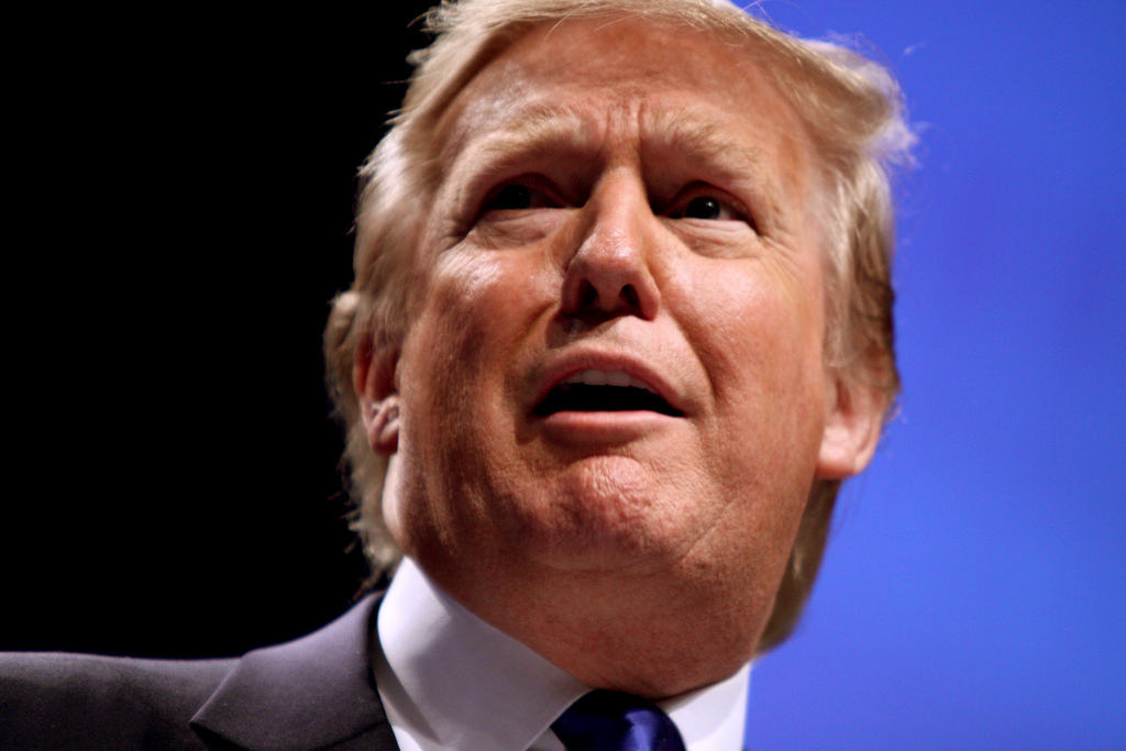 Yeah, we're pretty incredulous about your ideas, too, Mr. Trump.