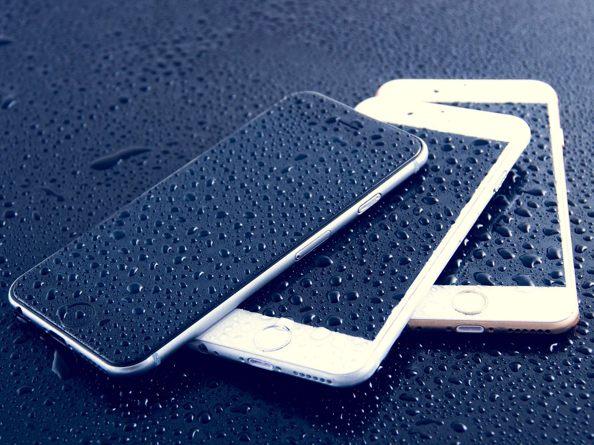iPhone rain by Dariusz Sankowski encryption 100+ organizations and individuals back Apple vs FBI