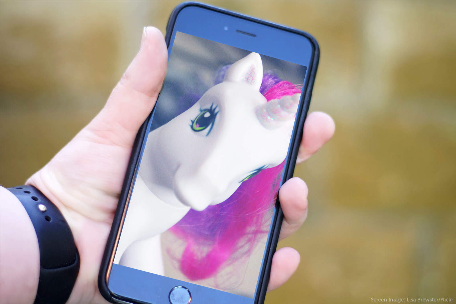 little_pony