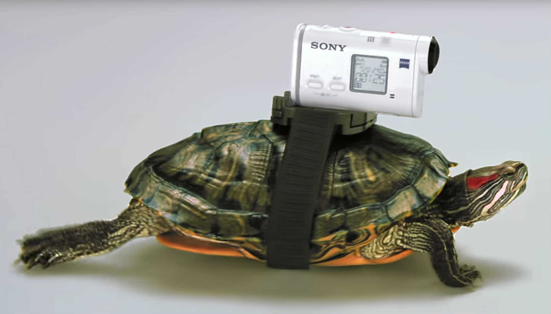 The Sony Action Cam is perfect for all your craziest shots.