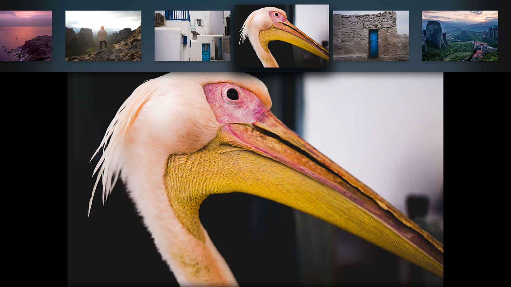 Review edits with friends and clients and zoom in on the detail with Adobe Lightroom for Apple TV.