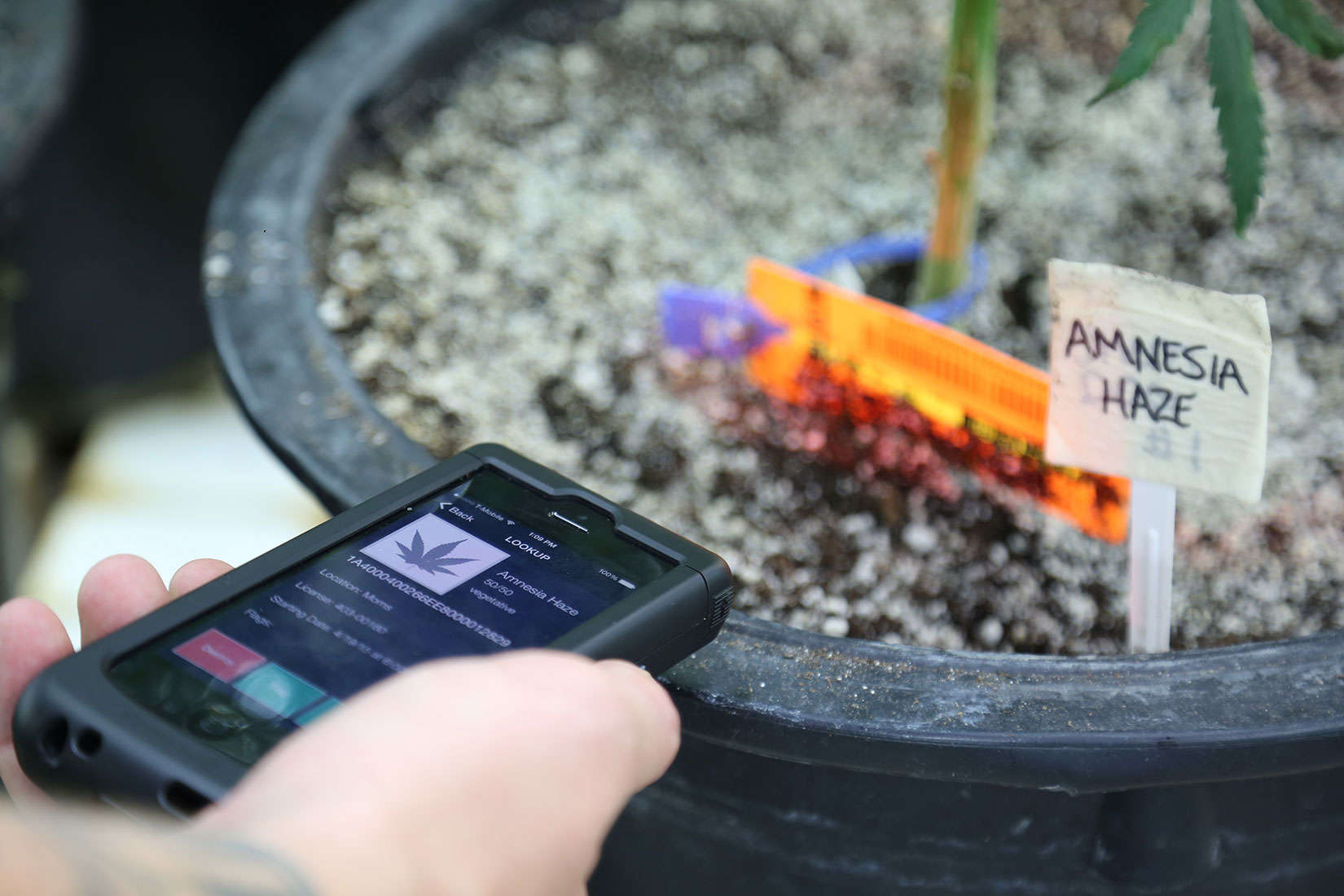 iPhone scanners are helping legal cannabis growers track product and stay compliant with state regulations.