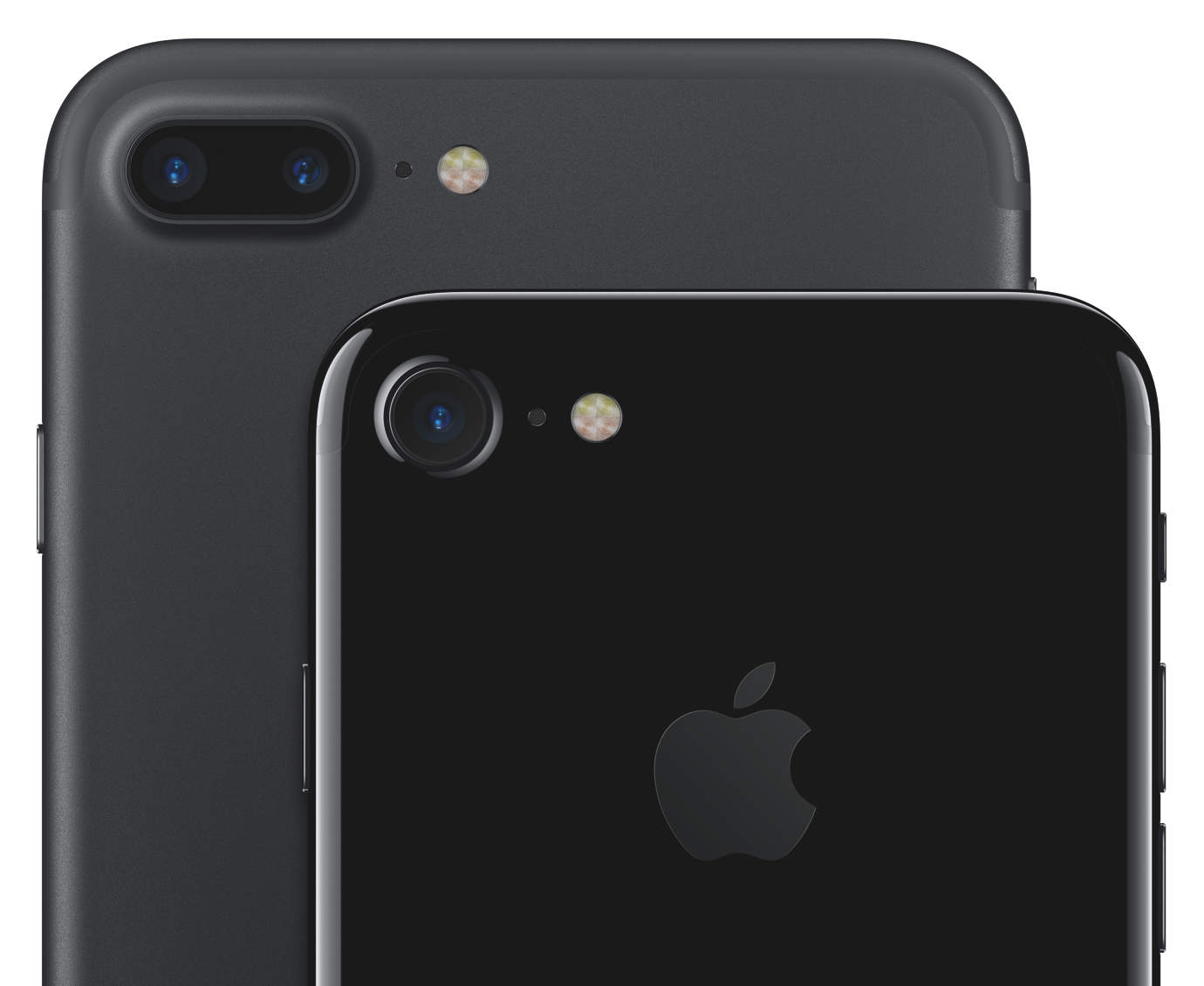 iPhone 7 vs iPhone 7 Plus cameras