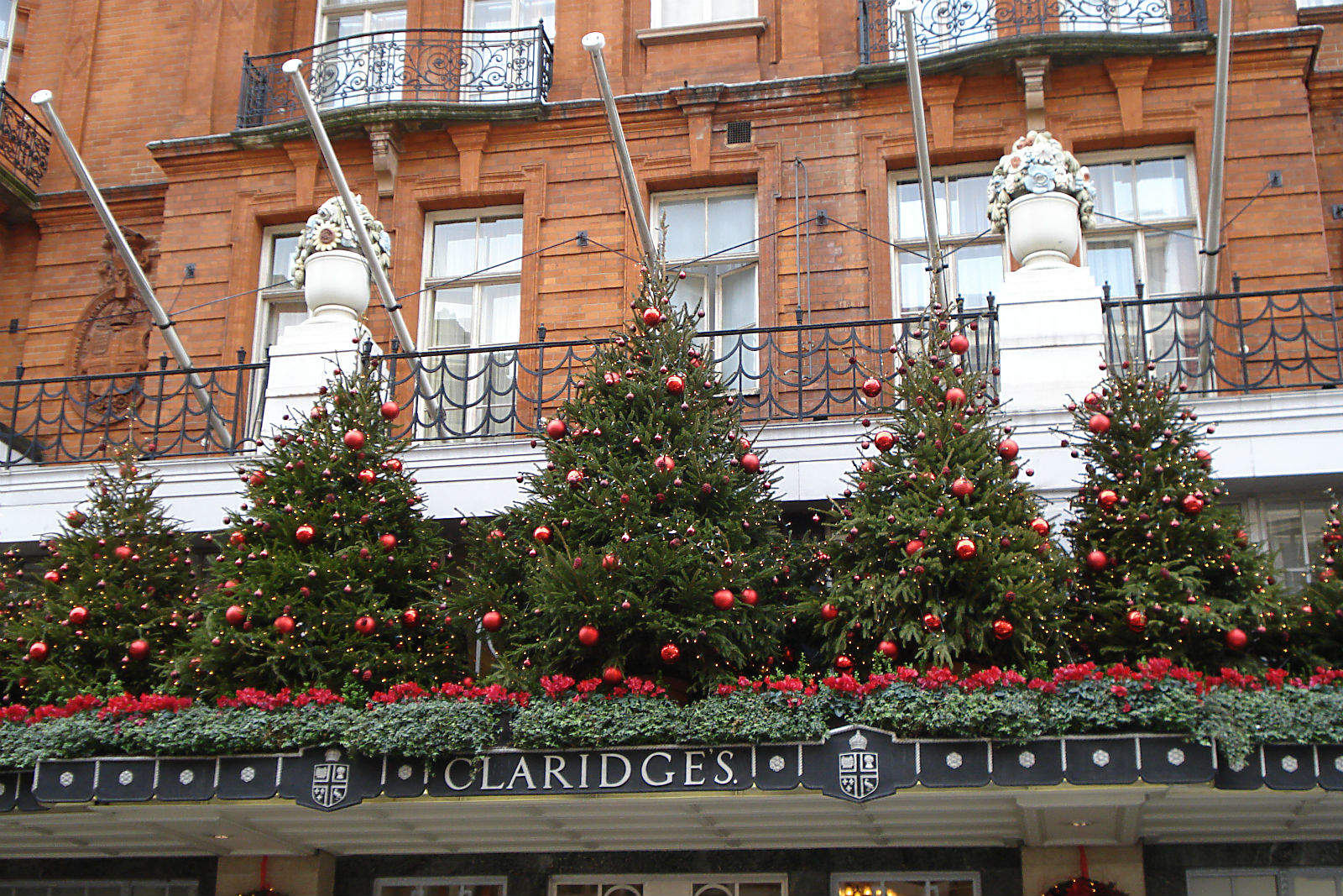 Jony Ive is selling Christmas trees this winter. Or one, at least.