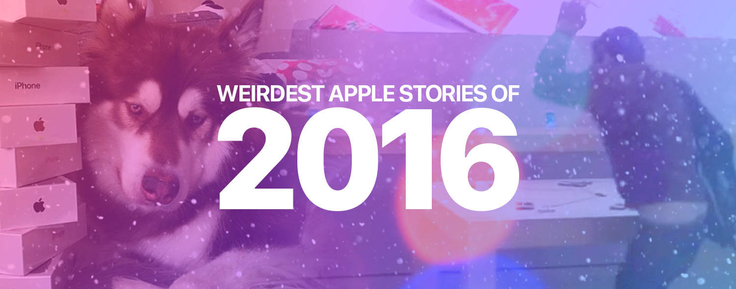 Wierdest Stories 2016