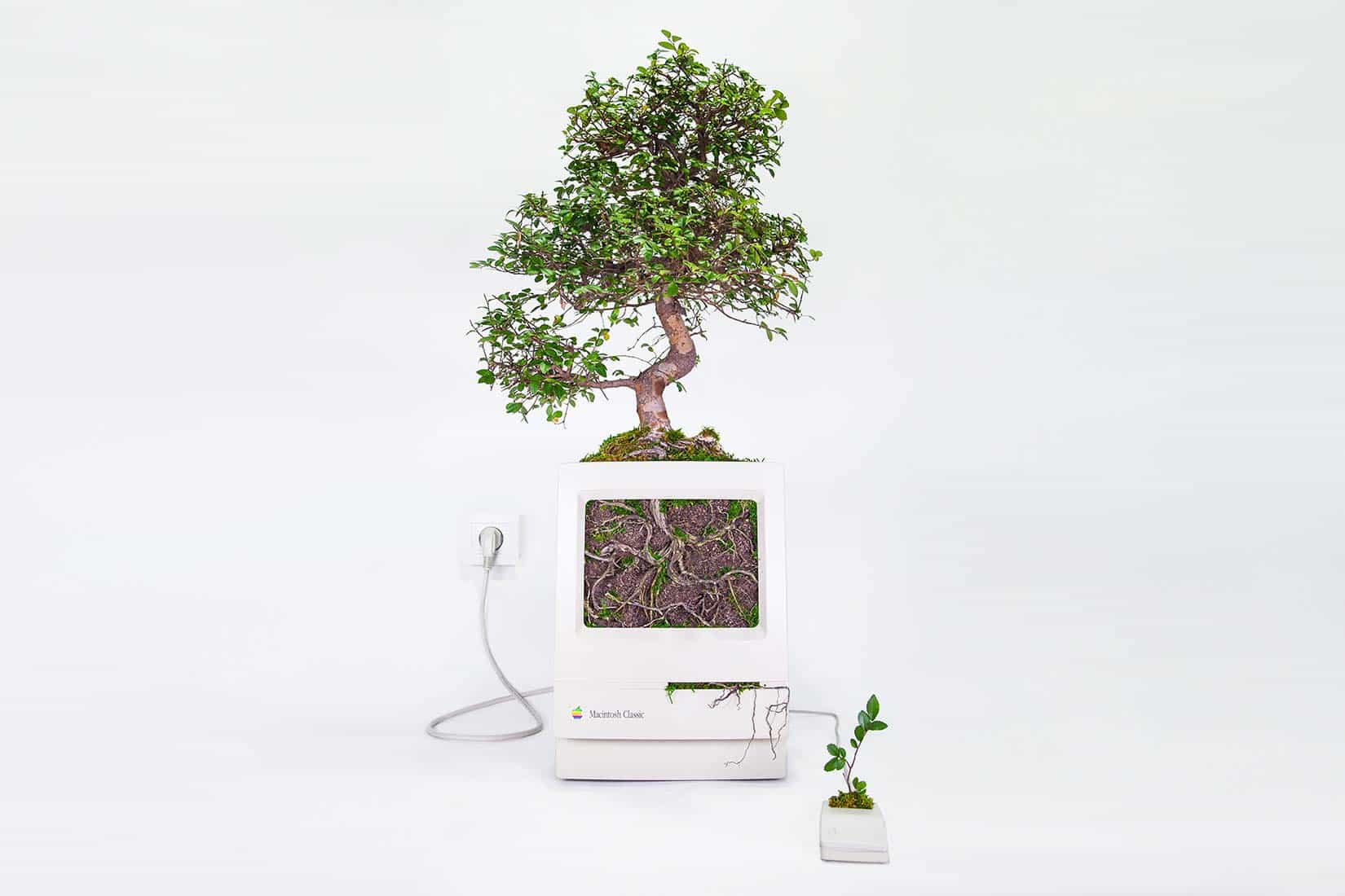 The artist known as Monsieur Plant prompts nature to override the power of the computer.