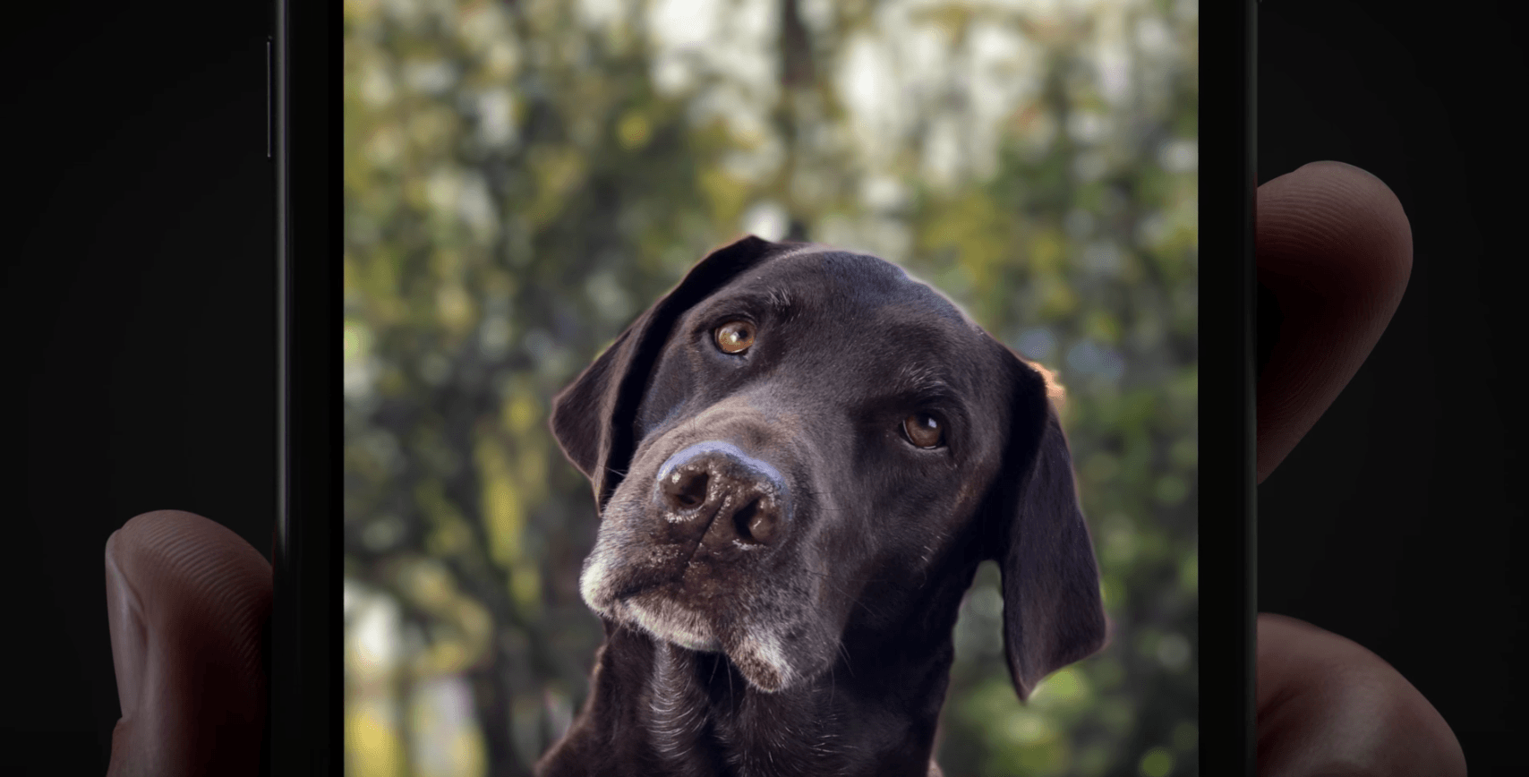 Portrait Mode turns ordinary pics into extraordinary photos.