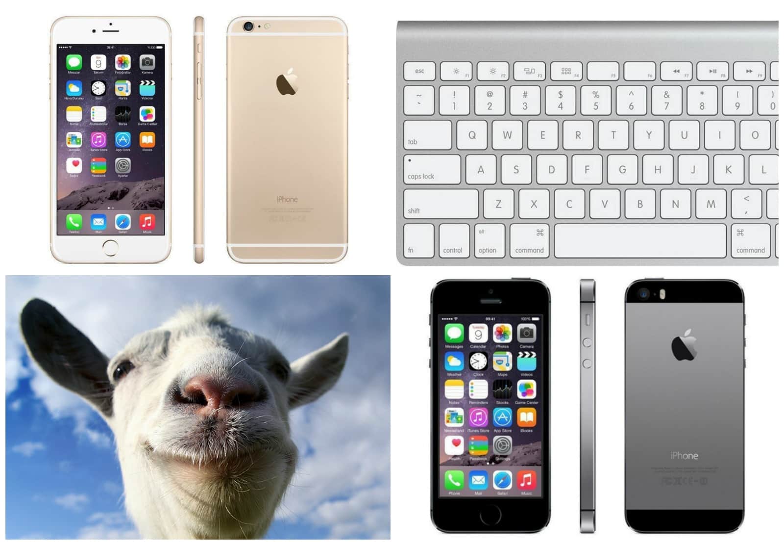 Get the best prices we've ever seen on refurbished iPhones.