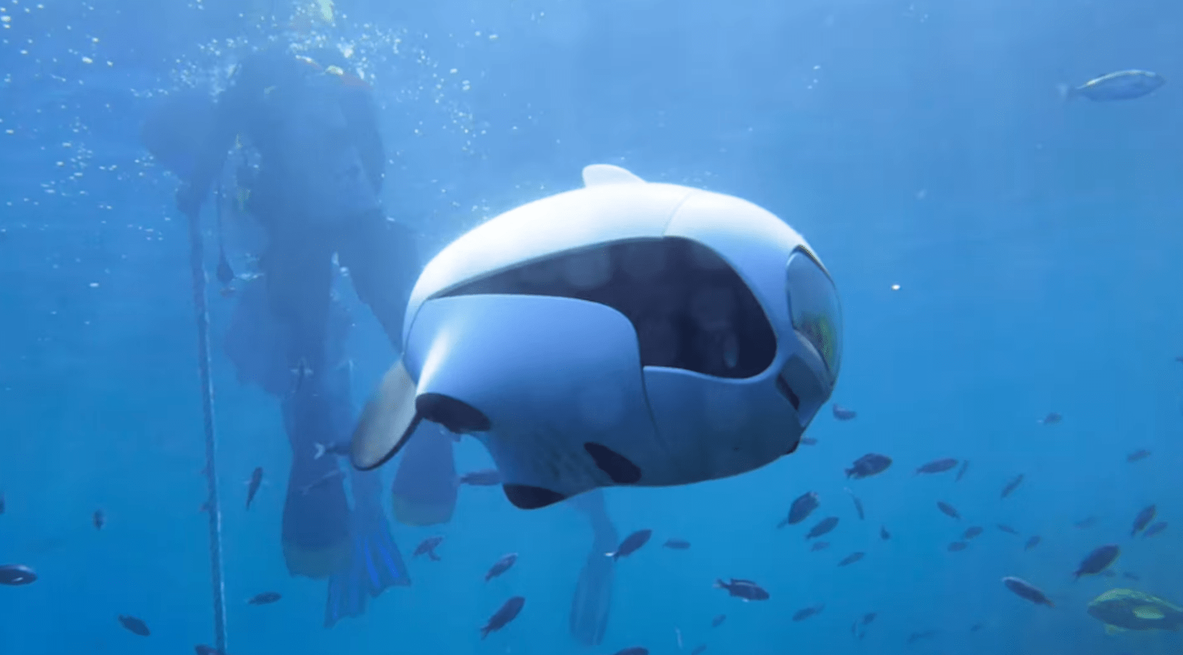A drone that's just like a fish.
