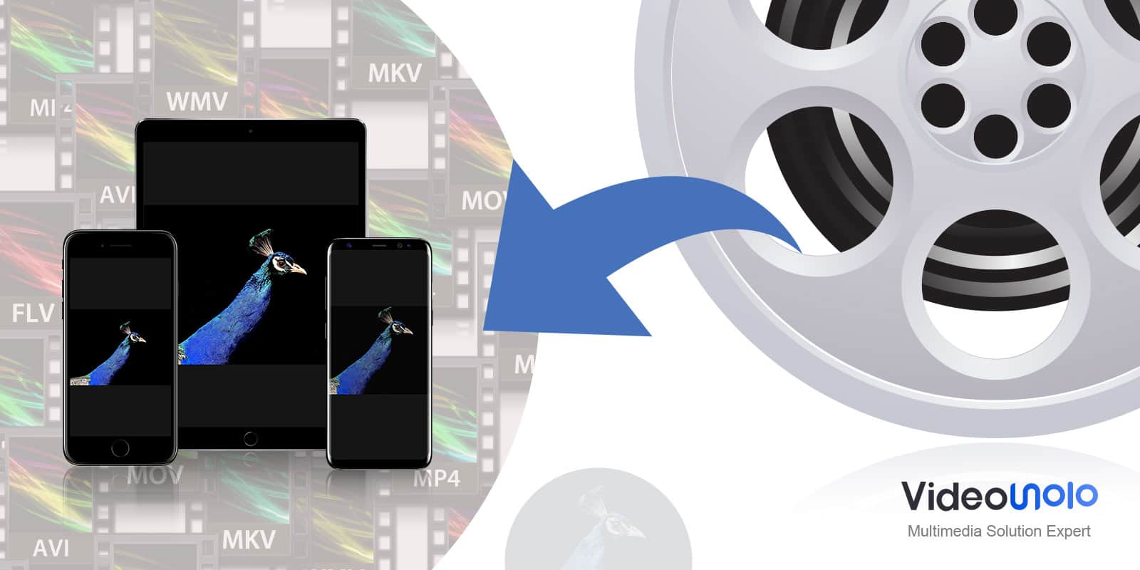 Want to get convert video from one format to another? VideoSolo Free Video Converter makes it easy.