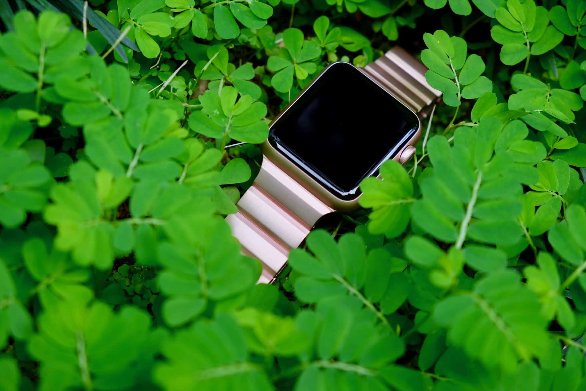 rose gold ligero