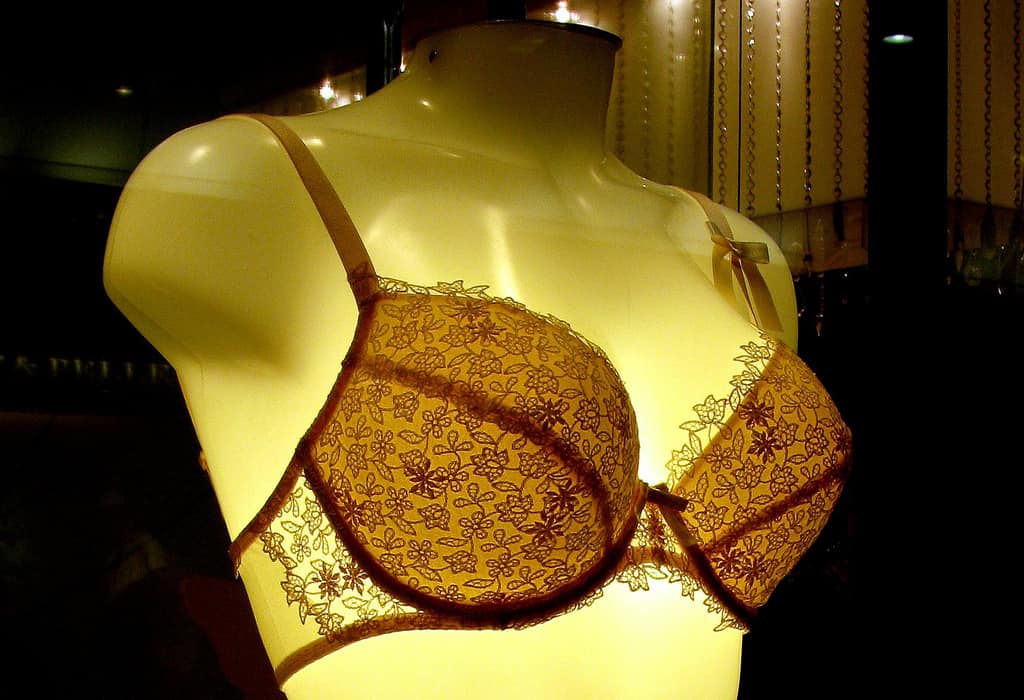 bra