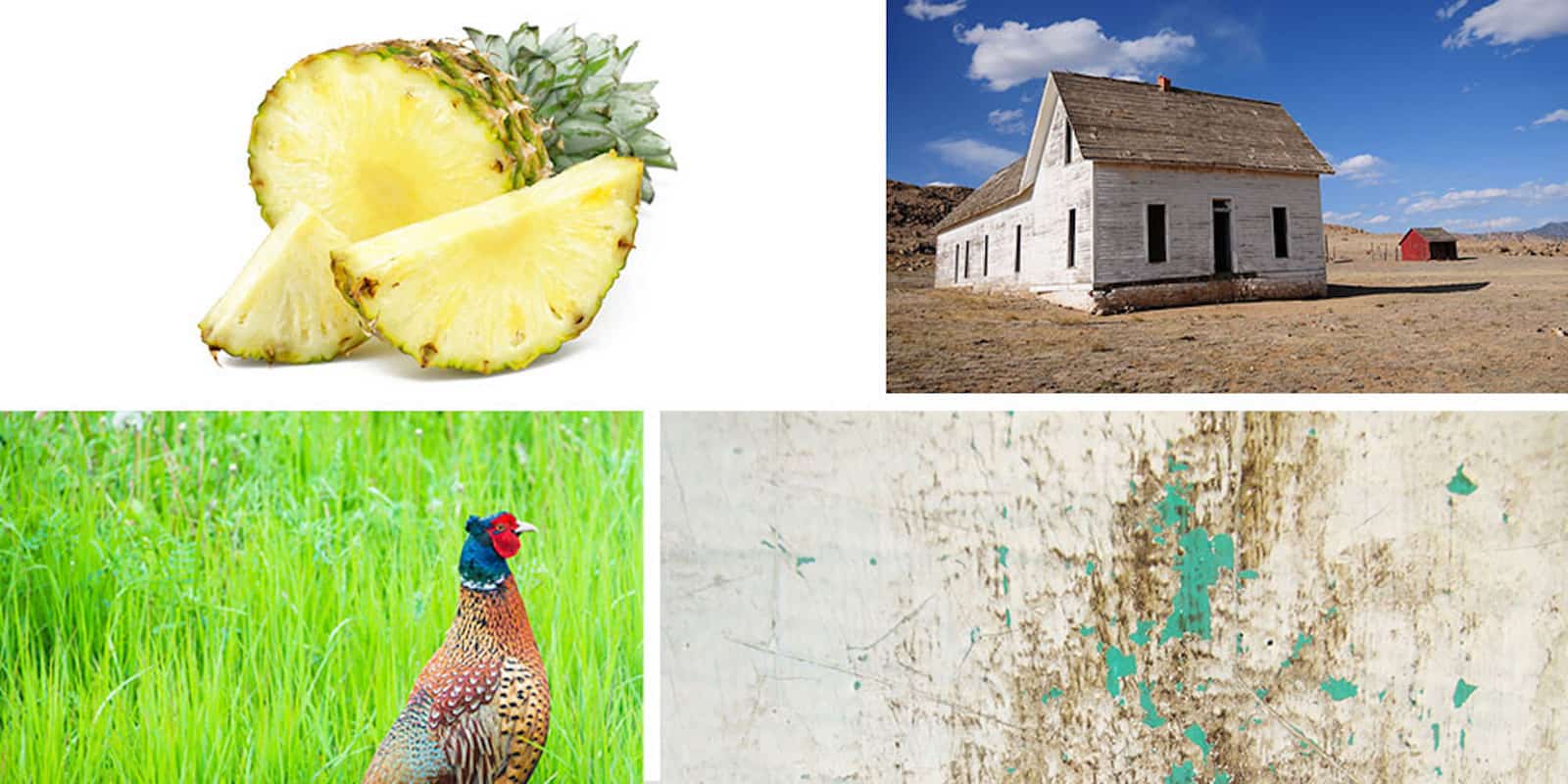 Get access to tens of thousands of graphic design elements for less than 20 bucks.